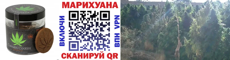 Еда ТГК конопля сколько стоит Люберцы