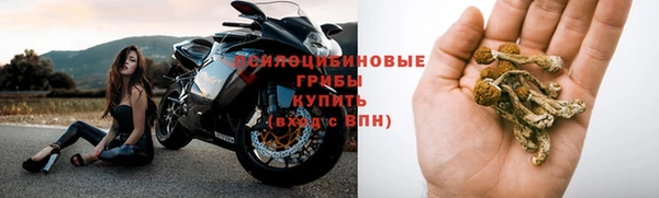 соль курить ск Богородицк