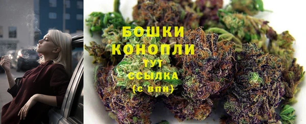 молекула духа Богданович