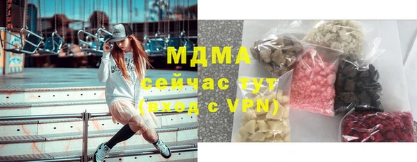 молекула духа Богданович