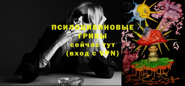 марки lsd Белокуриха