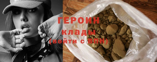 молекула духа Богданович