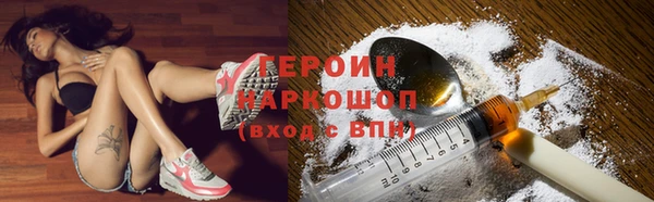 молекула духа Богданович