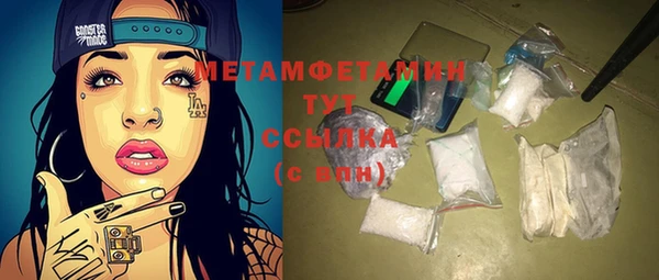молекула духа Богданович