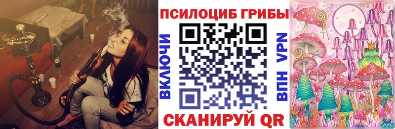 Псилоцибиновые грибы мухоморы  купить наркоту  Люберцы 